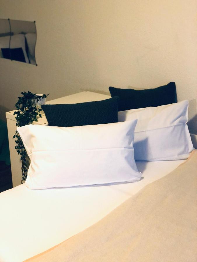 פרייבורג Apartment Tilia מראה חיצוני תמונה