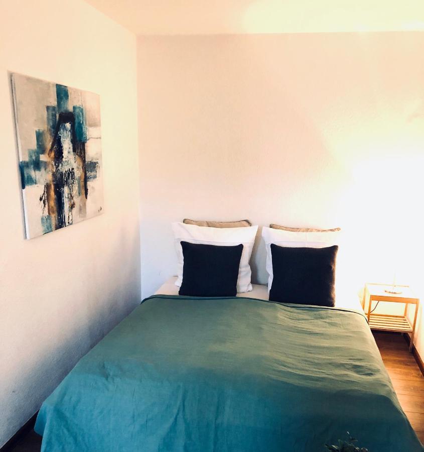 פרייבורג Apartment Tilia מראה חיצוני תמונה